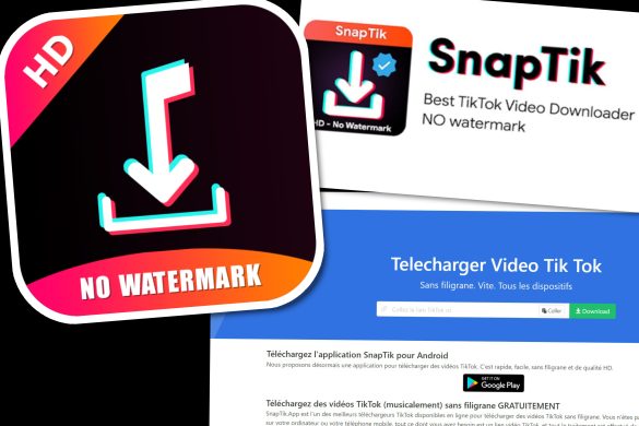 App Snaptik télécharger vidéos TikTok sans filigrane